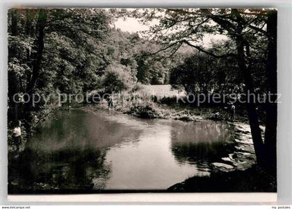 Usingen Hattstein Weiher