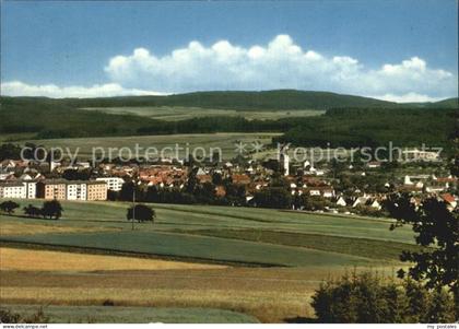 Usingen Panorama