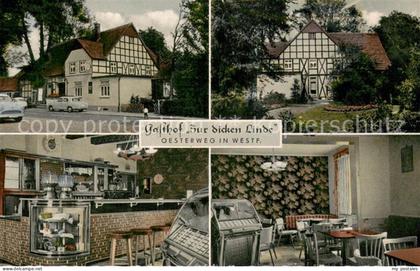 Oesterweg Gasthof Zur dicken Linde Innen und Aussen