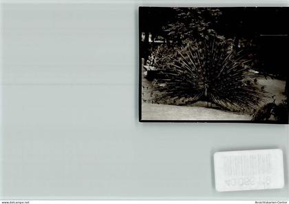 40066119 - Viernheim