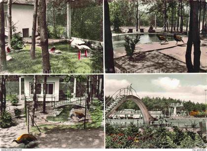 Viernheim Im Vogelpark und Schwimmbad