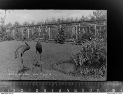 30052004 - Walsrode
