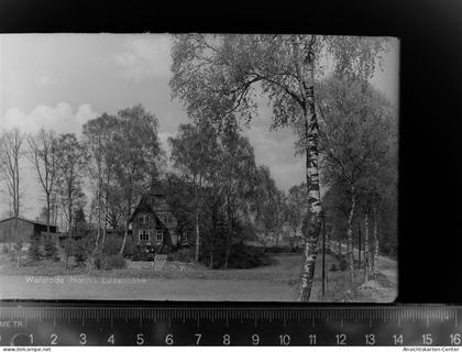 30052018 - Walsrode