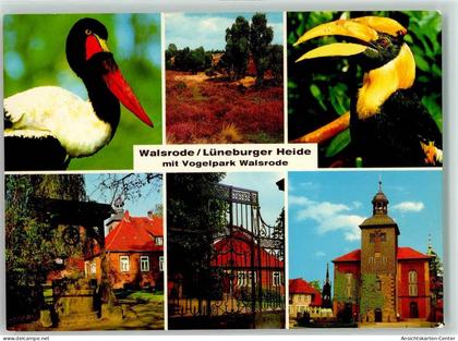39513870 - Walsrode