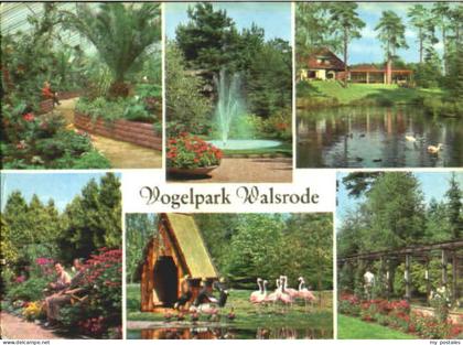 Walsrode Lueneburger Heide Walsrode Vogelpark x 1970
