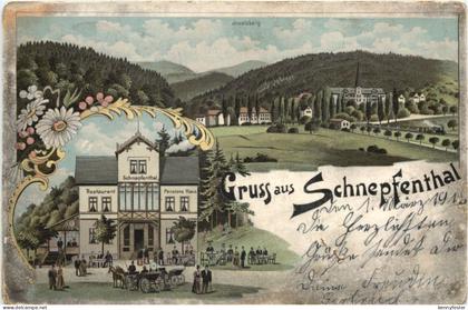 Gruss aus Schnepfenthal - Litho - Waltershausen