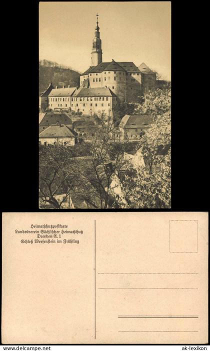 Ansichtskarte Weesenstein (Müglitz) Schloss Weesenstein im Frühling 1910