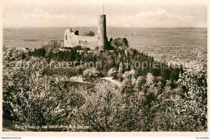 Weinheim Bergstrasse Burg Windeck