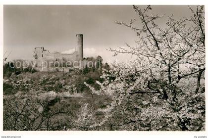 Weinheim Bergstrasse Burgruine Windeck