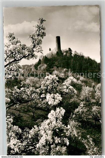 Weinheim Bergstrasse Burgruine Windeck