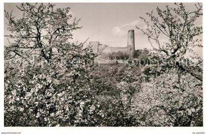 Weinheim Bergstrasse Burgruine Windeck