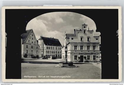 51056916 - Weissenhorn