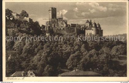 Wertheim Main Schlossruine