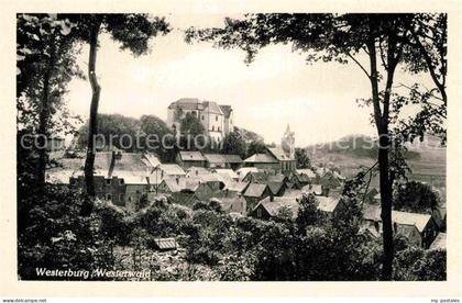 Westerburg Westerwald Ansicht vom Waldrand aus