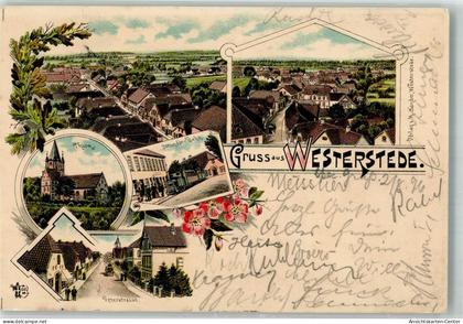 13659699 - Westerstede