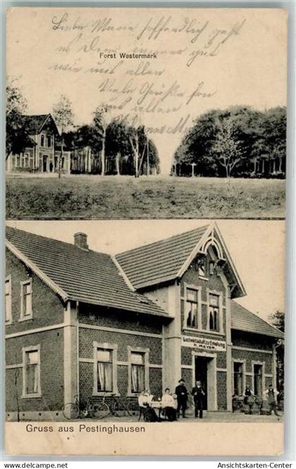 13448060 - Pestinghausen