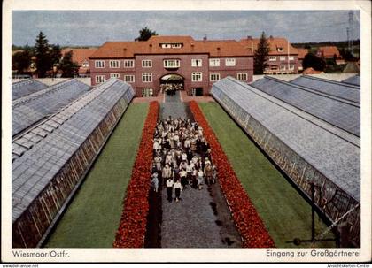 50479555 - Wiesmoor