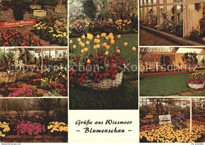 Wiesmoor Blumenschau