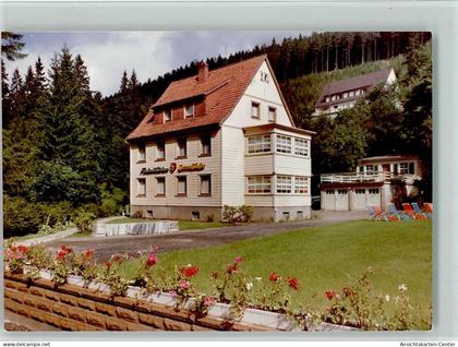 10140556 - Wildemann