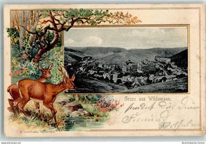 13485081 - Wildemann