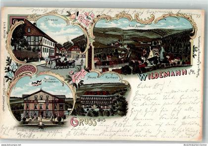 13562516 - Wildemann