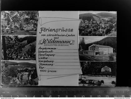 30047409 - Wildemann