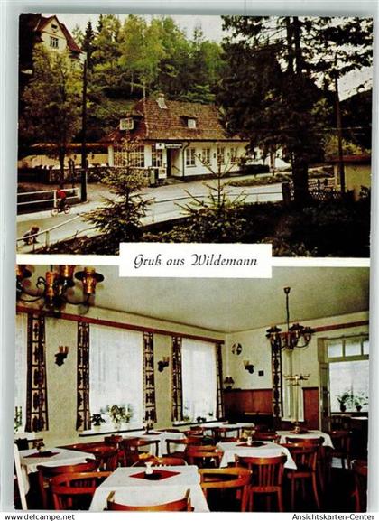 39447035 - Wildemann