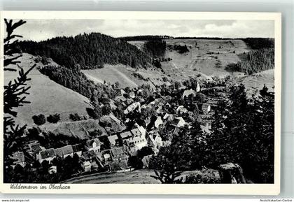 39447854 - Wildemann