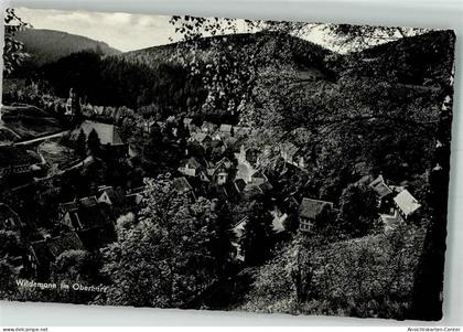 39929117 - Wildemann