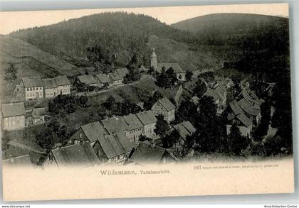 39959747 - Wildemann