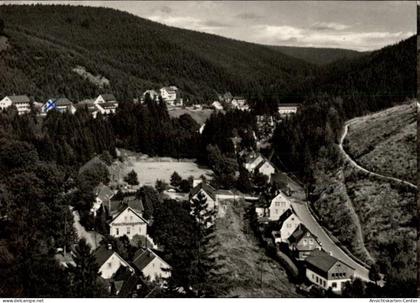 50479080 - Wildemann