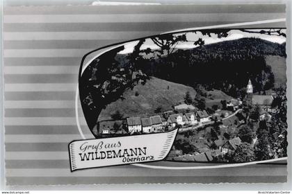 51065286 - Wildemann