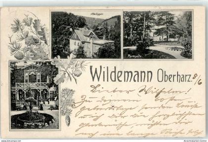 51703477 - Wildemann