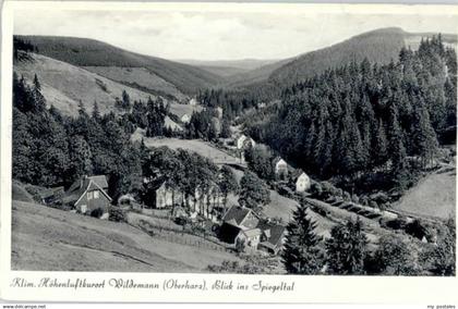 Wildemann