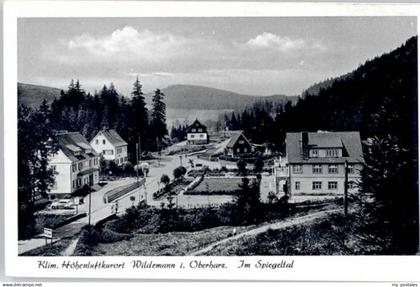 Wildemann