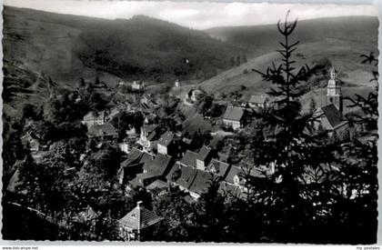 Wildemann