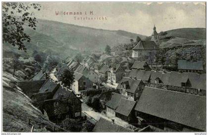 Wildemann