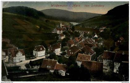 Wildemann im Harz