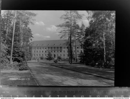 30048080 - Wildeshausen