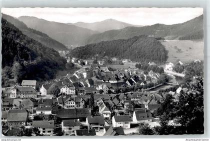 51814104 - Wolfach