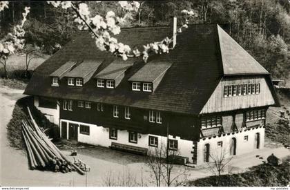 Wolfach Schwarzwaldheim