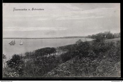 AK Zarrentin a. Schaalsee, Blick auf den See mit Segelbooten