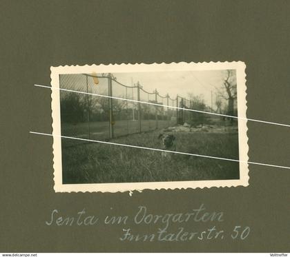 7x orig. Foto um 1930 Ortspartie Zepernick Panketal, Junge mit seinem Hund Inntaler Straße 50