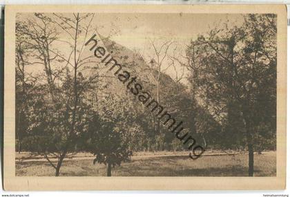 Zerbst - Francisceum - Promenadenseite