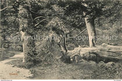 Zetel Urwald Partie