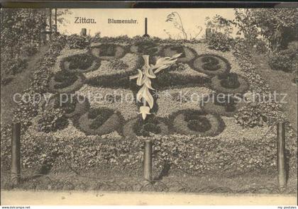 Zittau Blumenuhr