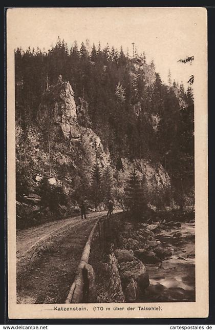 AK Zöblitz i. Erzgeb., Wegpartie am Katzenstein