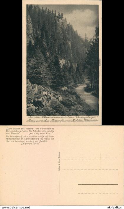 Zöblitz Schwarzwasserstal Obererzgebirge, zwischen Reitzenhain Katzenstein 1930