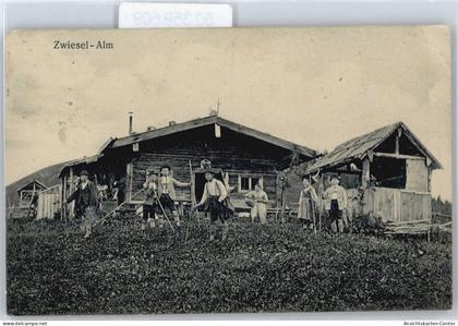 50359609 - Zwiesel