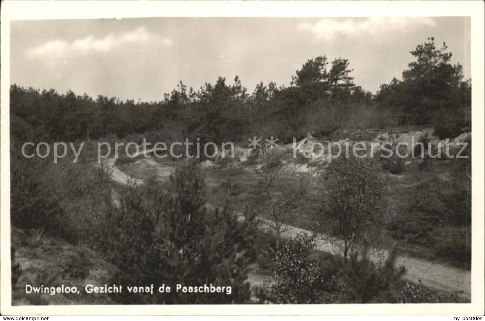Dwingeloo Gezicht vanaf de Paaschberg Landschaft